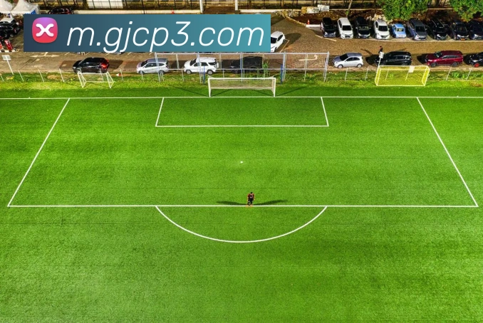 网上购彩票平台生态图